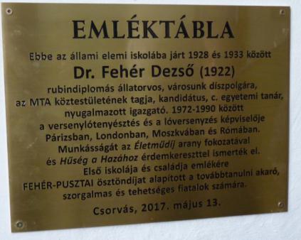 Dr. Fehér Dezső emléktáblája Csorváson az elemi iskola falán; fotó: Szabó István